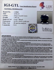 8.83 Ratti Natural Tourmaline With Govt. Lab Certificate-(3441)